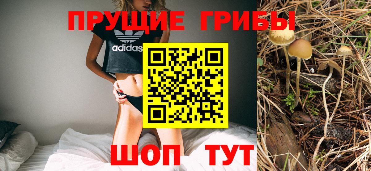 Псилоцибиновые грибы ЛСД Северодвинск