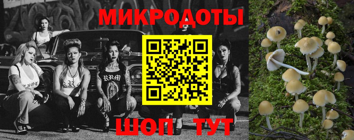 Галлюциногенные грибы мицелий Северодвинск