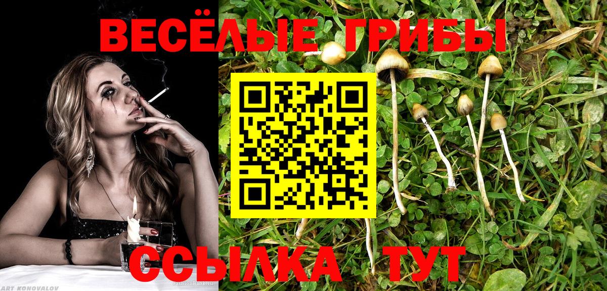 Псилоцибиновые грибы MAGIC MUSHROOMS  Галлюциногенные грибы Cubensis  Северодвинск  Вход с VPN 
